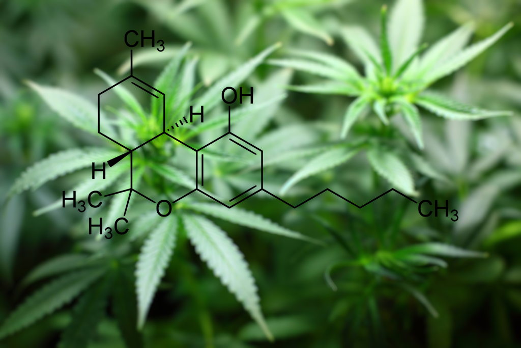 Was sind Cannabinoide?